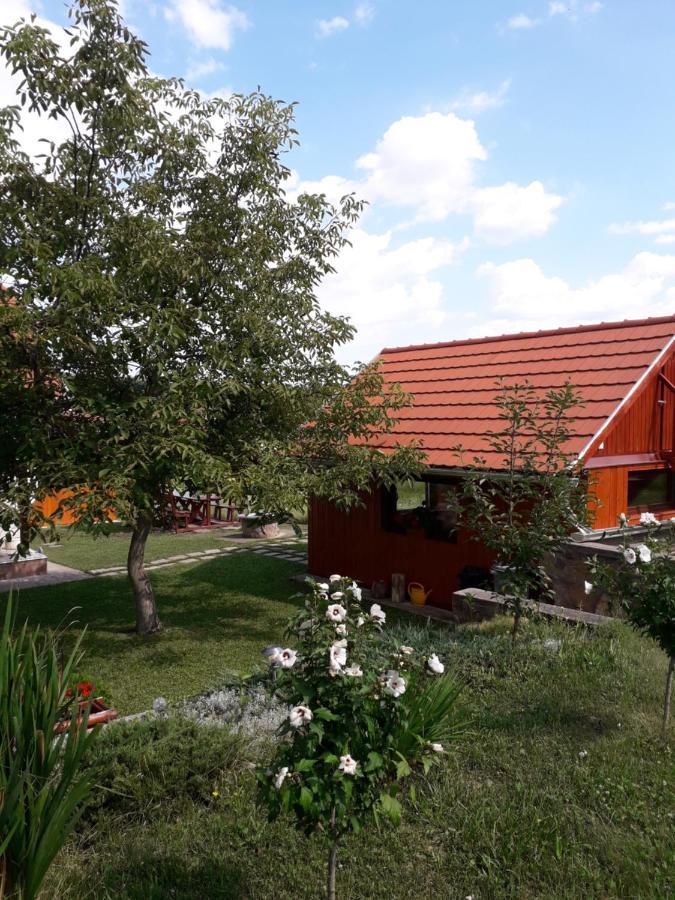 Matyas Apartman Tard Dış mekan fotoğraf