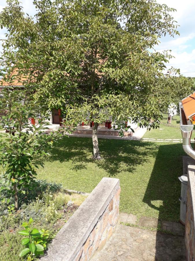 Matyas Apartman Tard Dış mekan fotoğraf
